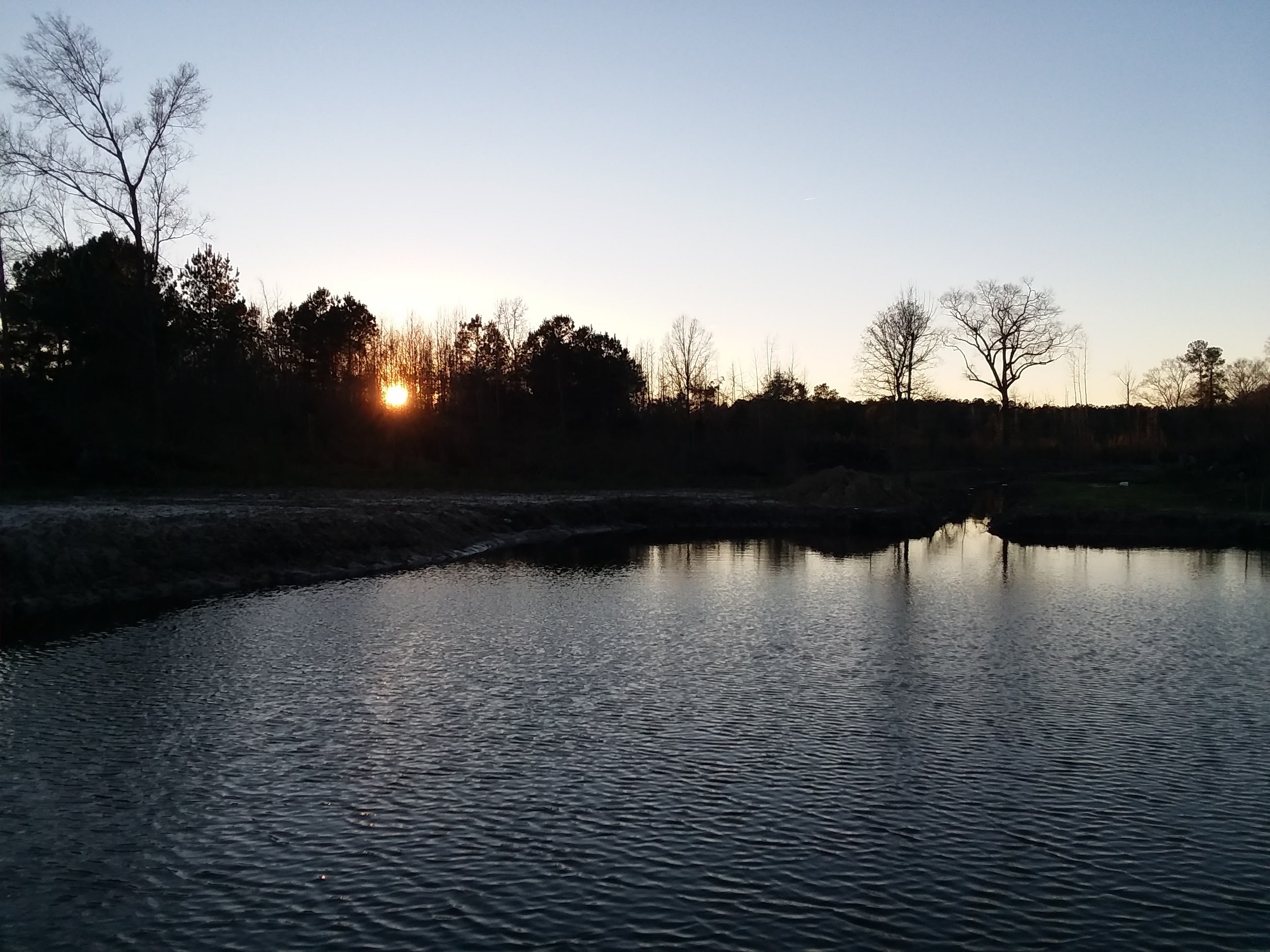 Winter Pond